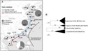 Composition, Demographic History, and Population Structures of Trichiurus